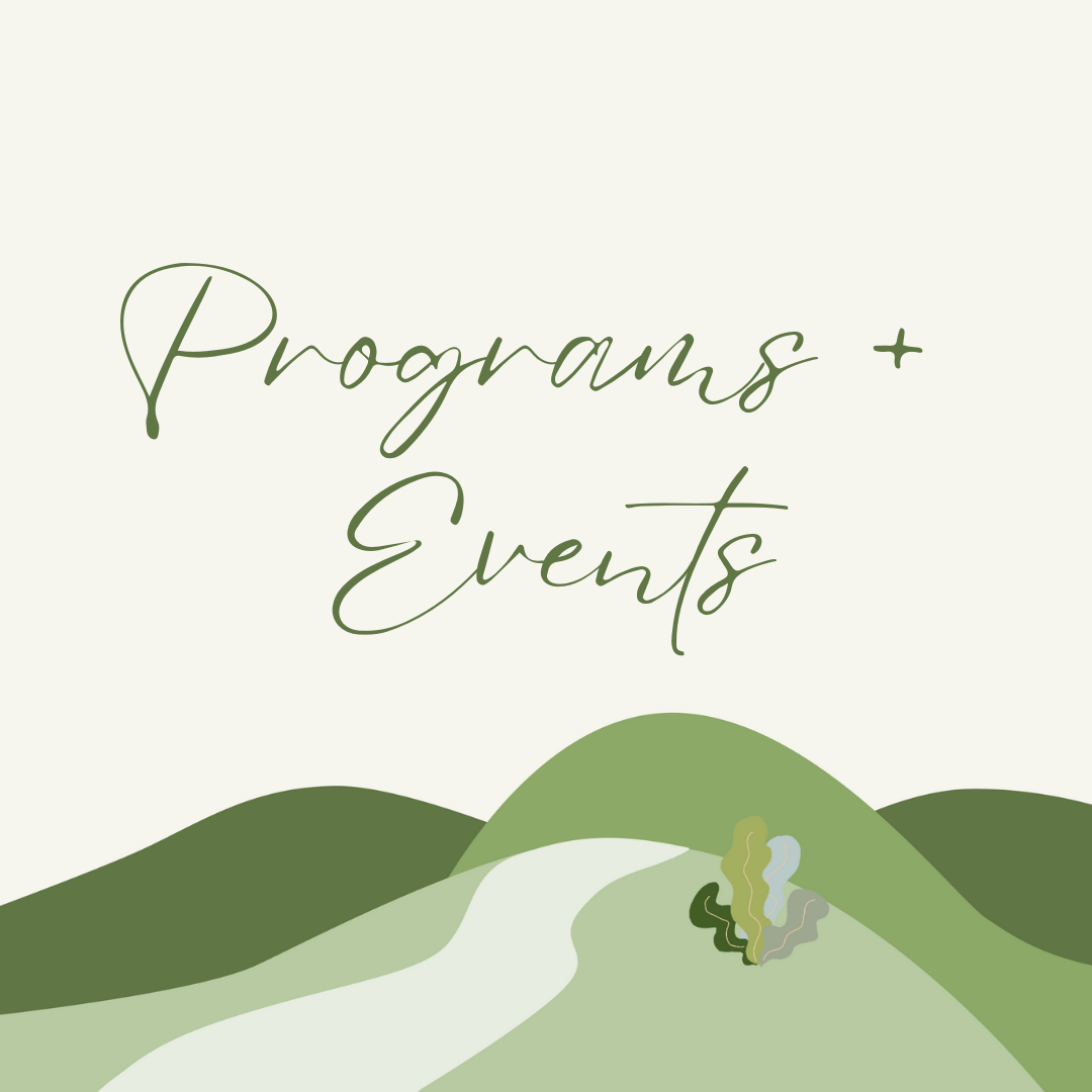 Country-of-Origin Based Programs + Events for Adoptees